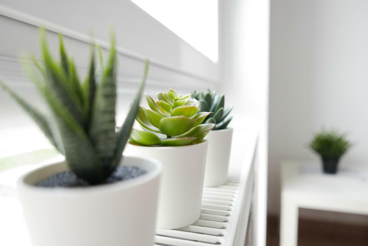 Apartament Jantarowa Lublin Ngoại thất bức ảnh
