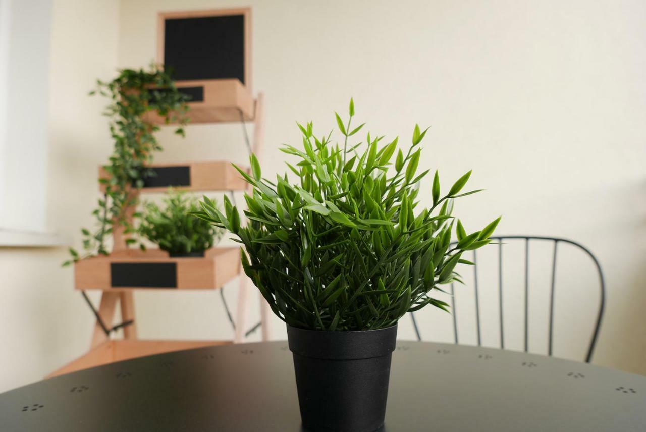 Apartament Jantarowa Lublin Ngoại thất bức ảnh