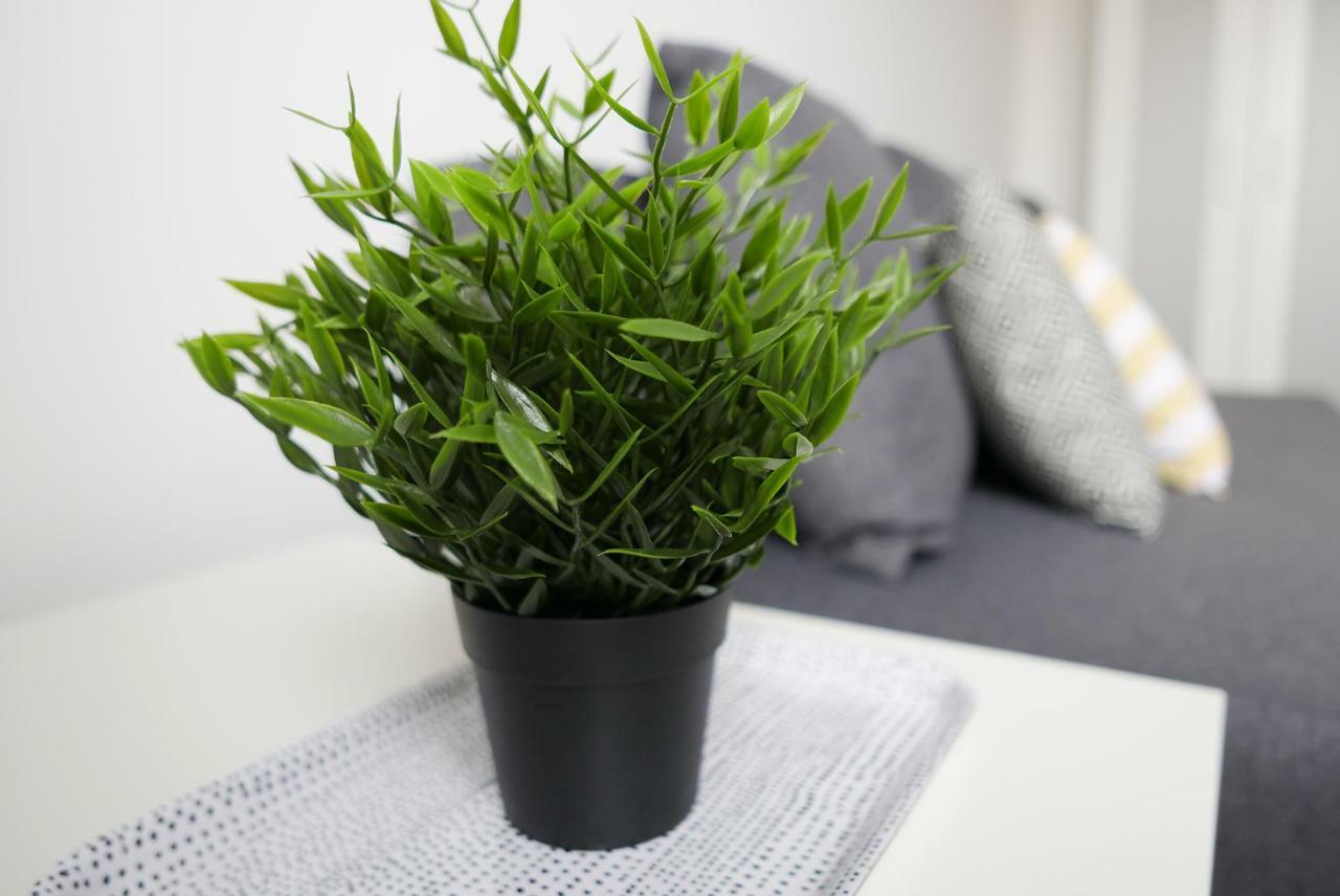 Apartament Jantarowa Lublin Ngoại thất bức ảnh